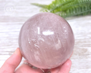 Star Rose Quartz Sphere #11