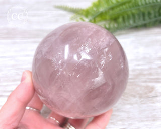 Star Rose Quartz Sphere #11