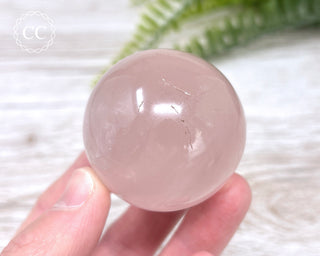 Star Rose Quartz Sphere #2