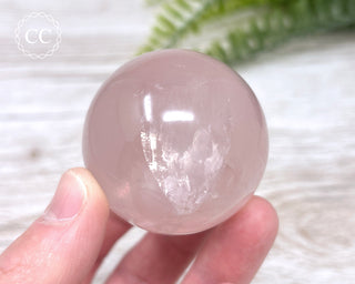 Star Rose Quartz Sphere #2