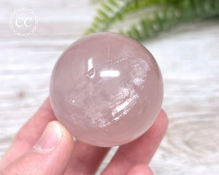 Star Rose Quartz Sphere #2