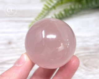 Star Rose Quartz Sphere #2