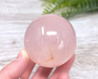 Star Rose Quartz Sphere #3