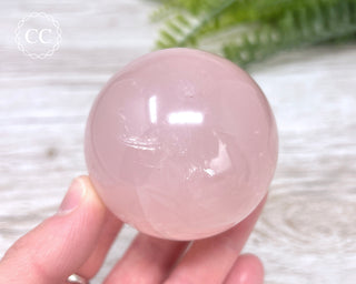 Star Rose Quartz Sphere #3