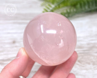 Star Rose Quartz Sphere #3