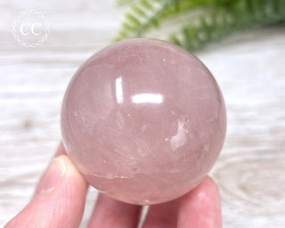 Star Rose Quartz Sphere #1