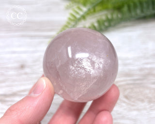 Star Rose Quartz Sphere #4