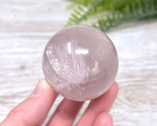 Star Rose Quartz Sphere #4