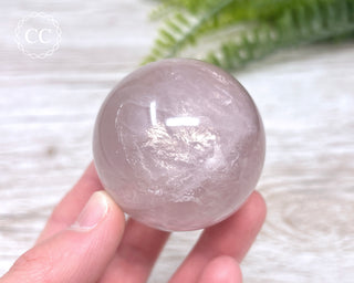 Star Rose Quartz Sphere #4