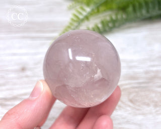 Star Rose Quartz Sphere #4