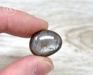 Star Sapphire Polished #3