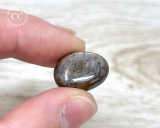 Star Sapphire Polished #3
