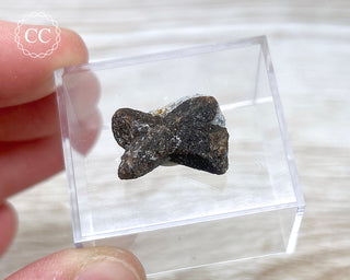 Staurolite Fairy Cross #10