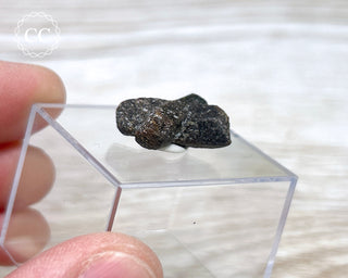 Staurolite Fairy Cross #10