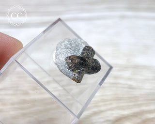 Staurolite Fairy Cross #2