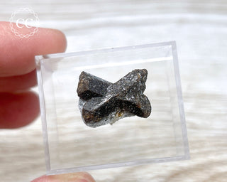 Staurolite Fairy Cross #10