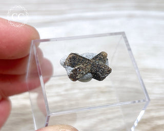 Staurolite Fairy Cross #8