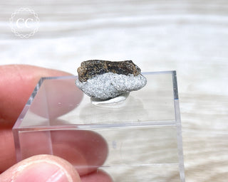 Staurolite Fairy Cross #8