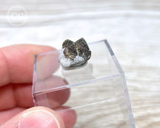 Staurolite Fairy Cross #8