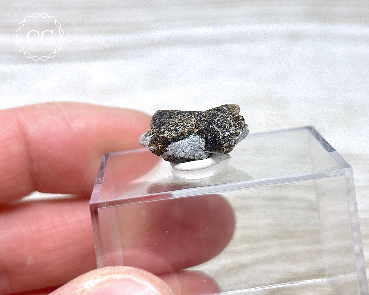 Pierre Staurolite « Croix De Fée » Naturelle – Spécimen Minéral En Matrice, 2,5 Cm, Pour Collection, Méditation Ou Décoration De Table