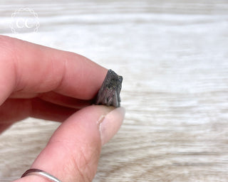 Stibnite Specimen #14
