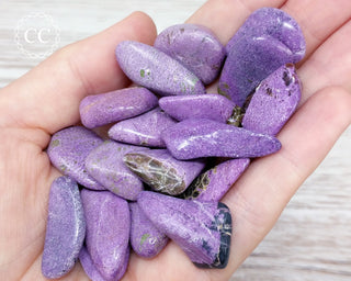 Stichtite Tumbled Crystals in hand