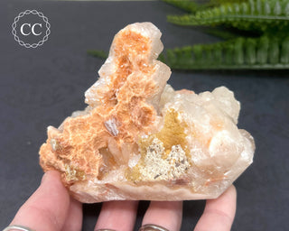 Stilbite Bowtie Specimen #5