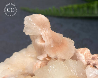 Stilbite Bowtie Specimen #5