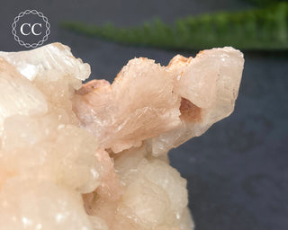 Stilbite Bowtie Specimen #5