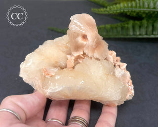 Stilbite Bowtie Specimen #5
