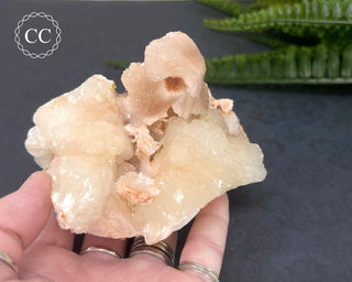 Stilbite Bowtie Specimen #5