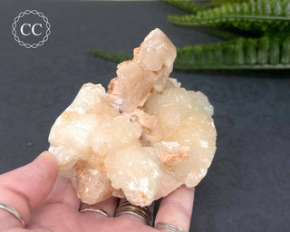 Stilbite Bowtie Specimen #5
