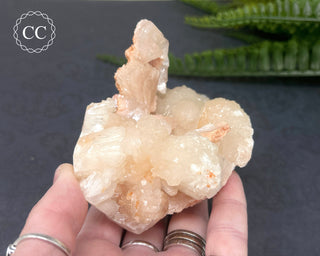 Stilbite Bowtie Specimen #5