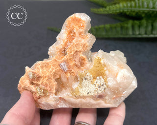 Stilbite Bowtie Specimen #5