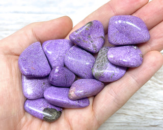 Stichtite A Grade Tumbled Crystal