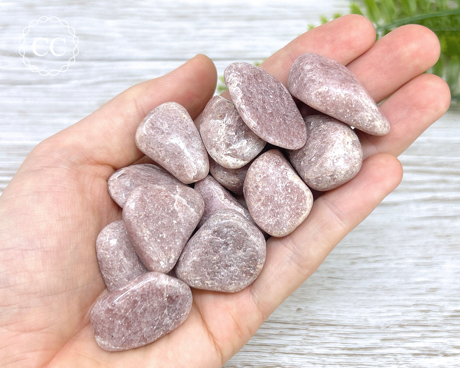 Strawberry Aventurine Tumbled Crystal – The Citrine Circle