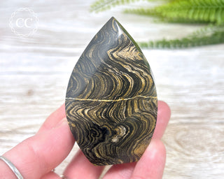 Stromatolite Flame #2