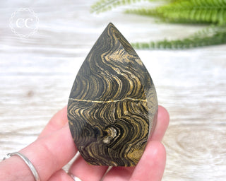 Stromatolite Flame #2