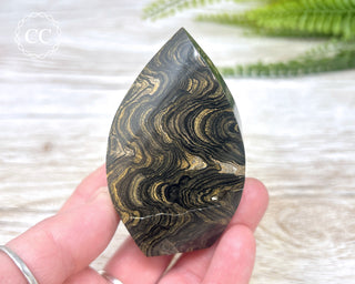 Stromatolite Flame #2