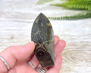 Stromatolite Flame #2