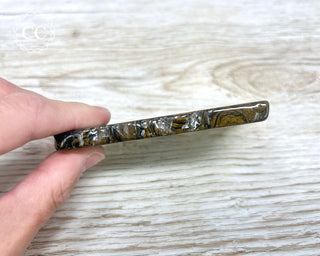 Stromatolite Slice #2