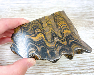 Stromatolite Slice #2
