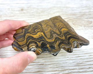 Stromatolite Slice #2