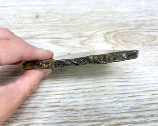 Stromatolite Slice #2