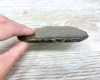 Stromatolite Slice #1