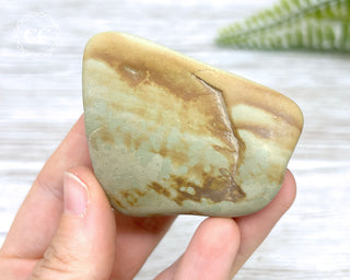 Succor Creek Jasper #6