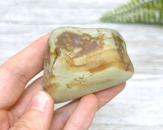 Succor Creek Jasper #6