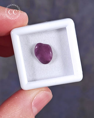 A white 3cm by 3cm Gem pot showcasing apolished example of Sugilite from South Africa