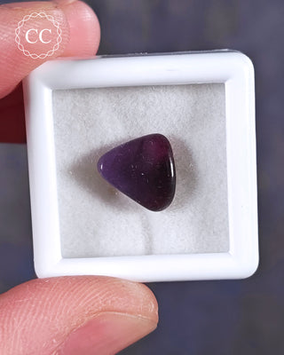 A white 3cm by 3cm Gem pot showcasing apolished example of Sugilite from South Africa