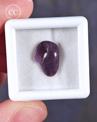 A white 3cm by 3cm Gem pot showcasing apolished example of Sugilite from South Africa
